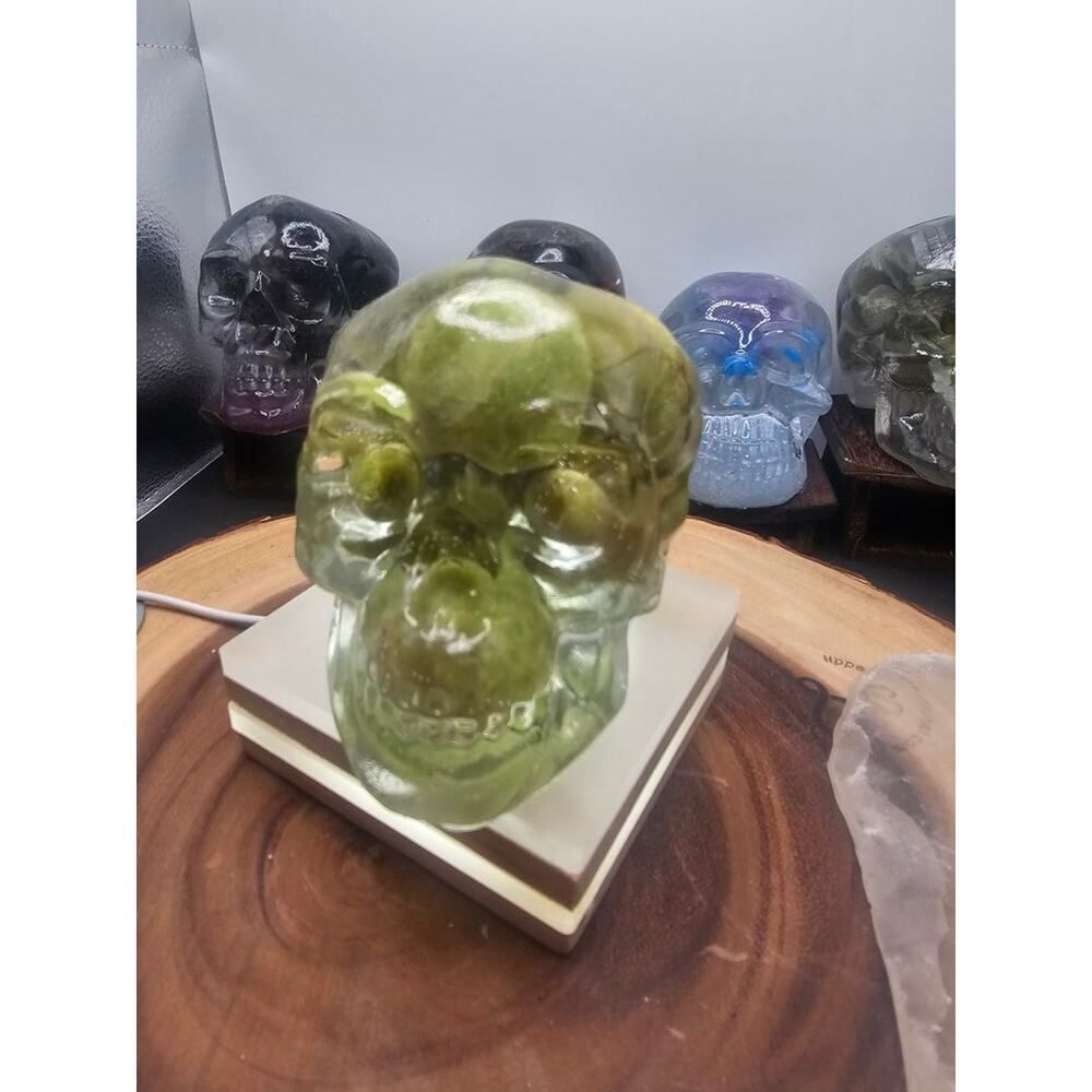 Ocean jasper Resin Anatomical Skull - Vitreous Botanical Specimen | CrystalCloud